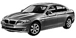 BMW F10 P0803 Fault Code